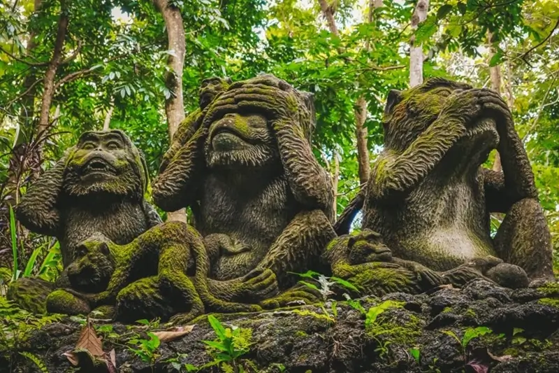 Sacred Monkey Forest Sanctuary Ubud Bali