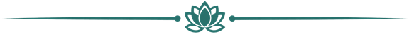 Vinyasa Yoga Academy hero divider