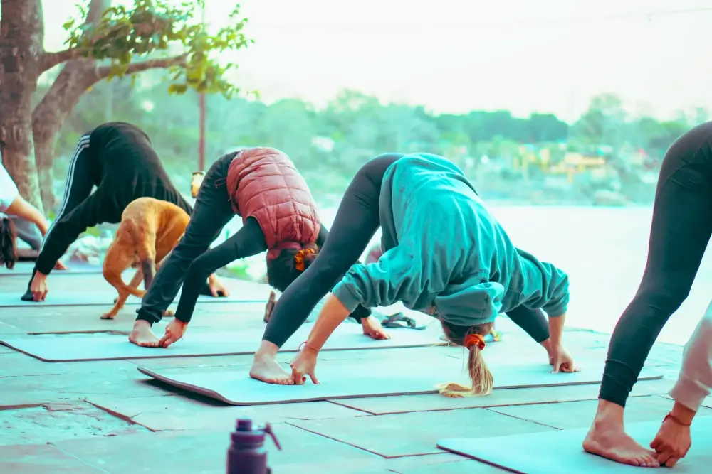 Prenatal Yoga Teacher Training in Rishikesh