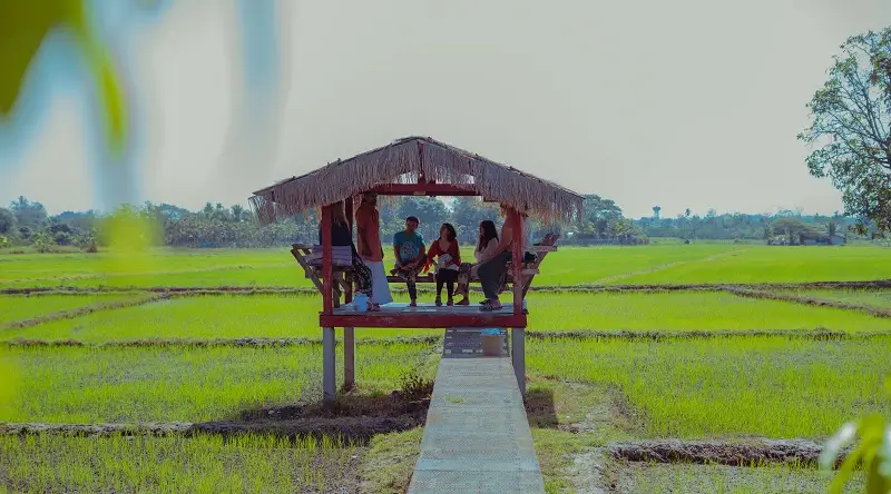 Open-air hut in the rice fields beside the campus
