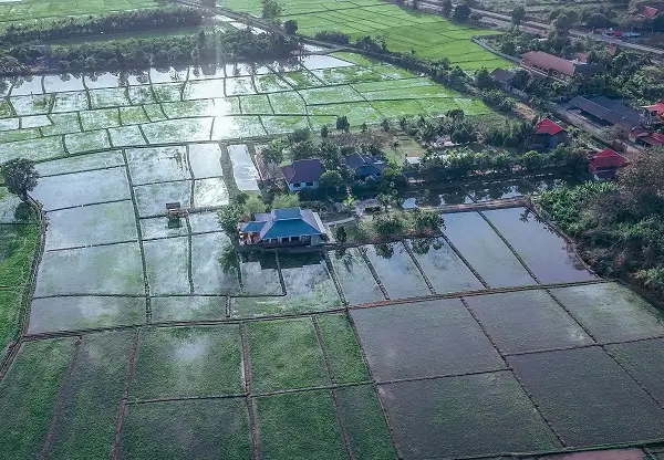 The campus from above, surrounded by flooded rice fields