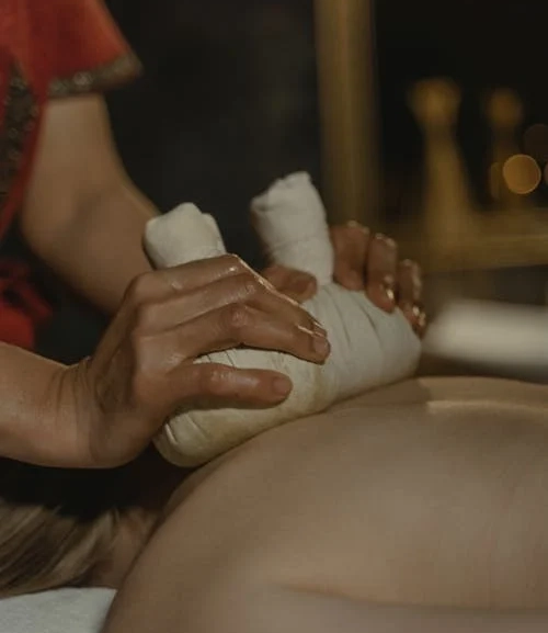 Vinyasa Panchakarma Workshop Price