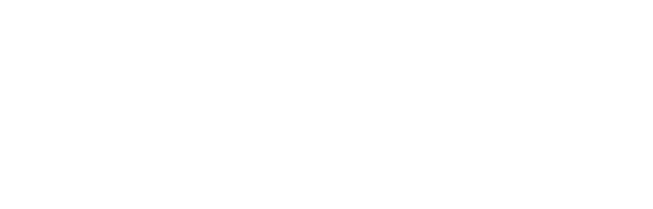 Vinyasa Yoga Academy Logo
