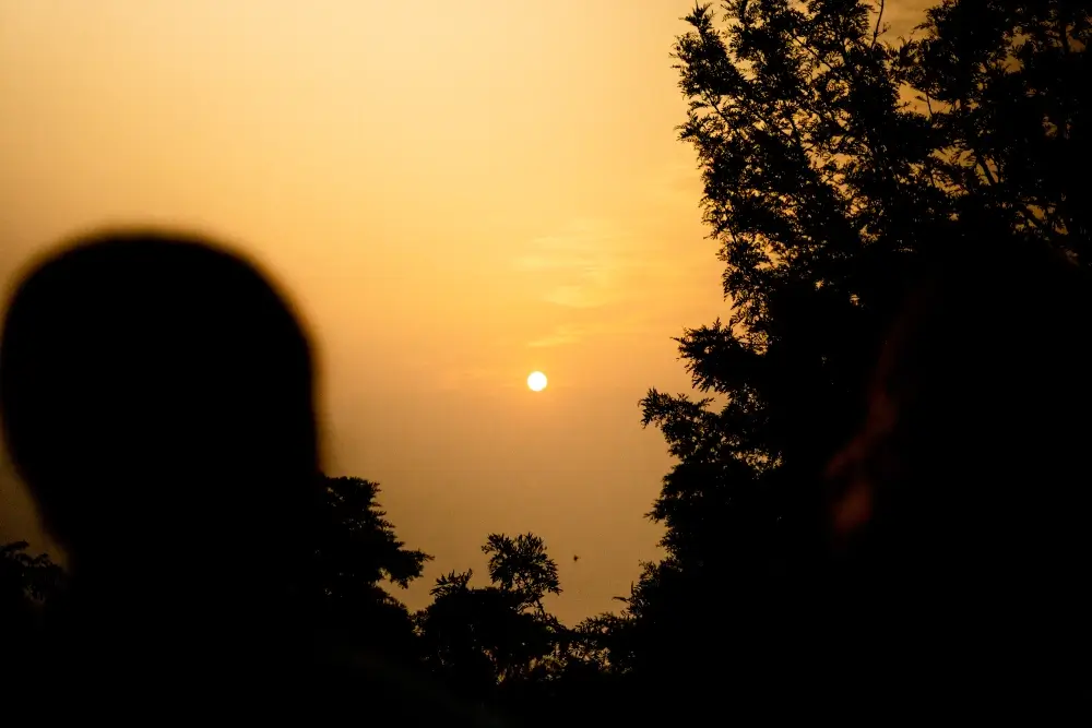 Yoga Activity and Practice at Vinyasa Yoga Academy