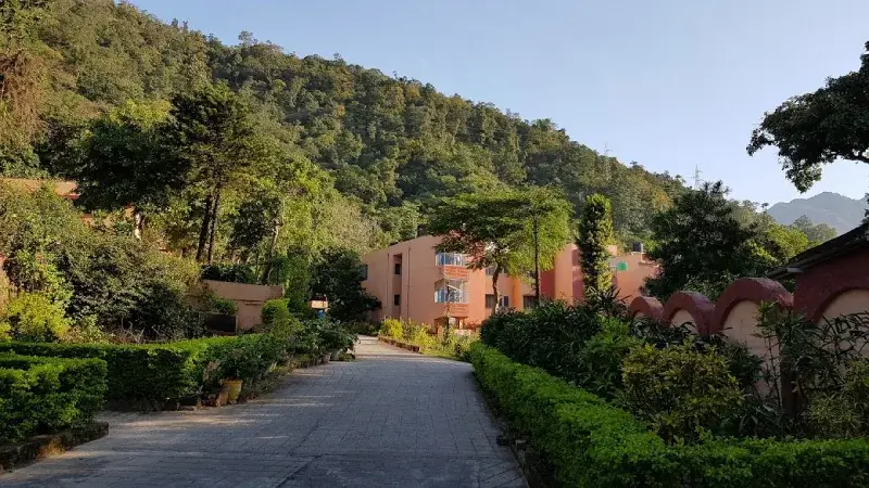 Yoga Activity and Practice at Vinyasa Yoga Academy