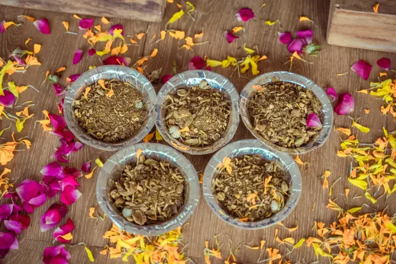 Yoga Style Taught at Vinyasa Yoga Academy