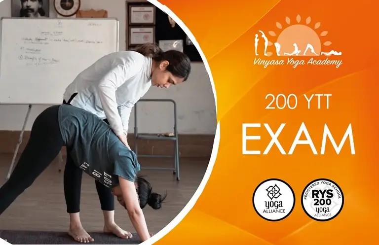 Vinyasa Yoga Academy 500 Hour Bali YTTC Certification