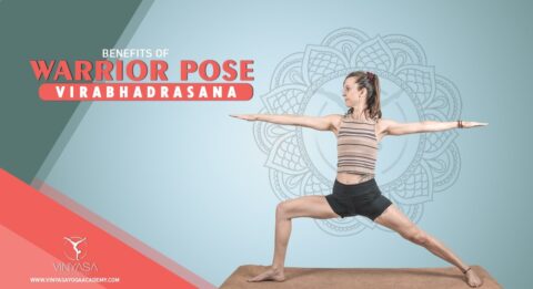 BENEFITS OF WARRIOR POSE VEERABHADRASANA - Vinyasa Yoga Academy Blogs