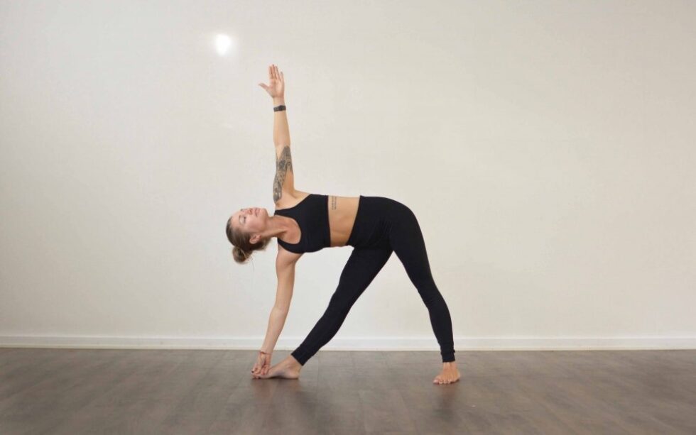 Triangle Pose (Trikonasana) - Vinyasa Yoga Academy Blogs