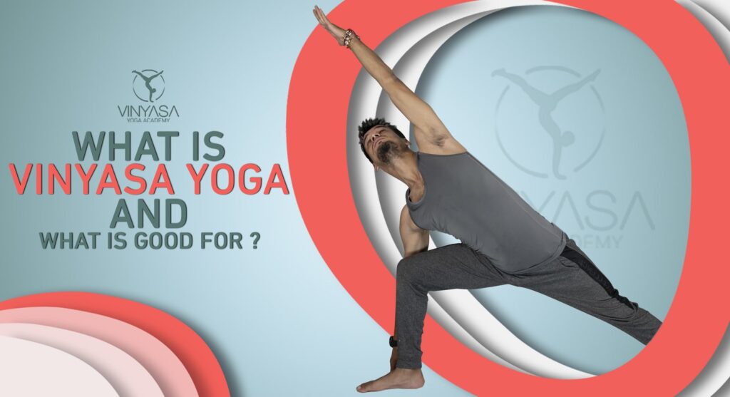 Vinyasa Yoga Academy
