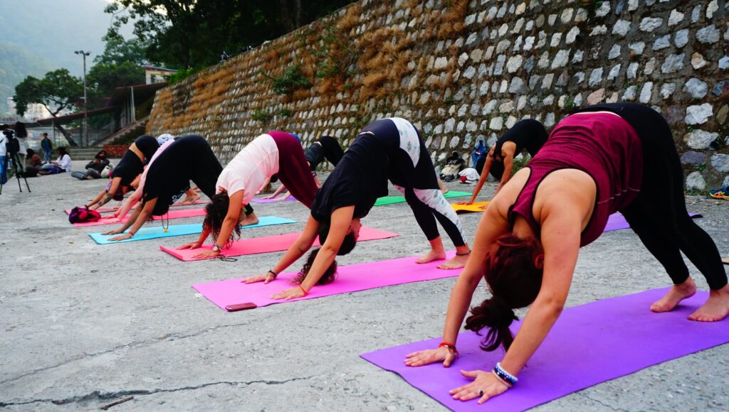 Student Performing Downward-Facing Dog During Yoga Teacher Training at Vinyasa Yoga Academy