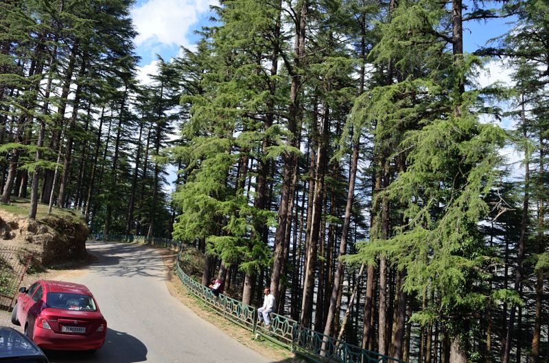 Scooty Trail: Mussoorie to Dhanaulti