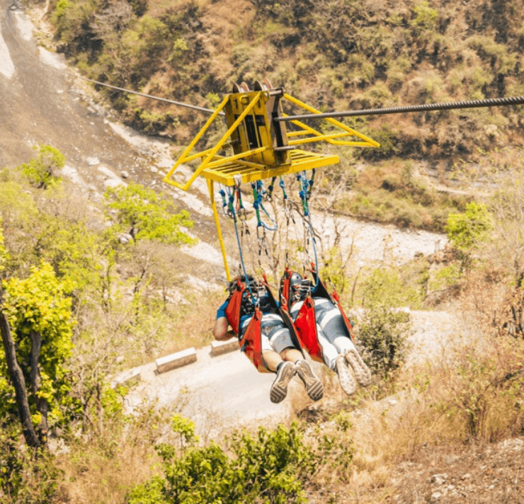 flying fox